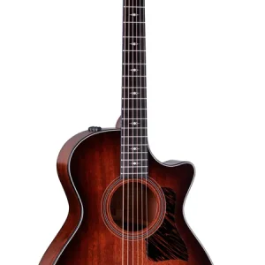 Neue Kollektion 322ce 12-Fret