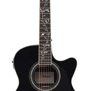 Ibanez AC391RCE-BKH Black High Gloss Echt
