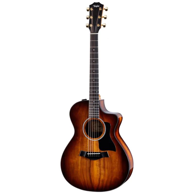 Bestpreis Taylor 222ce-K DLX