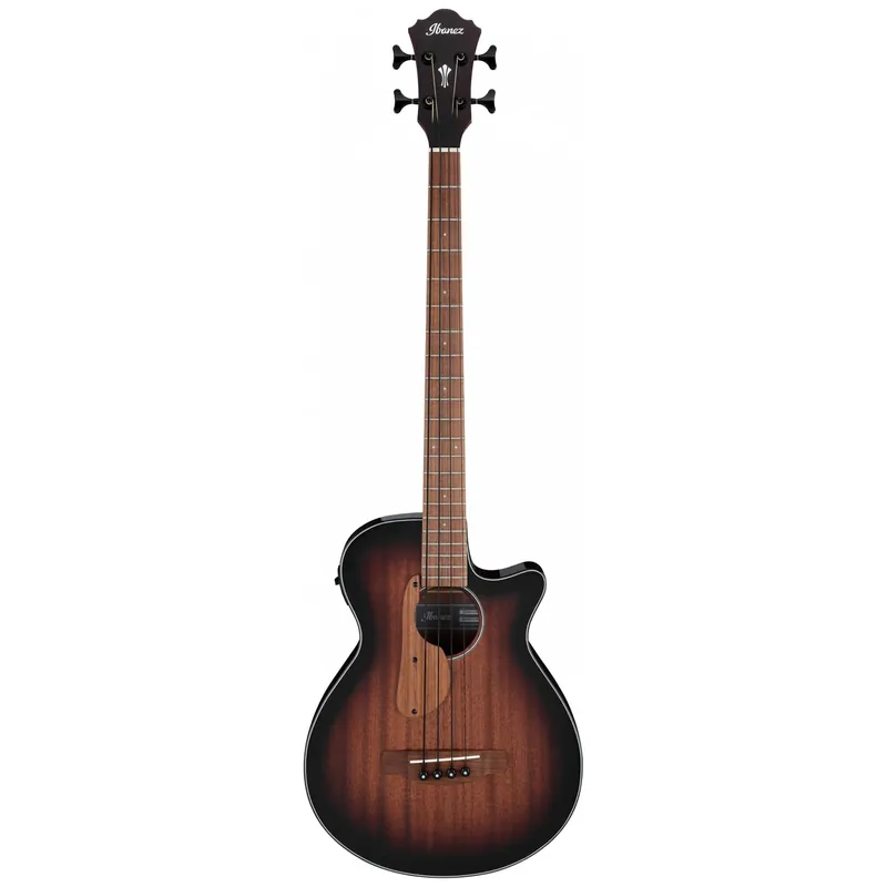 Ibanez AEGB24E-MHS Saisonangebot