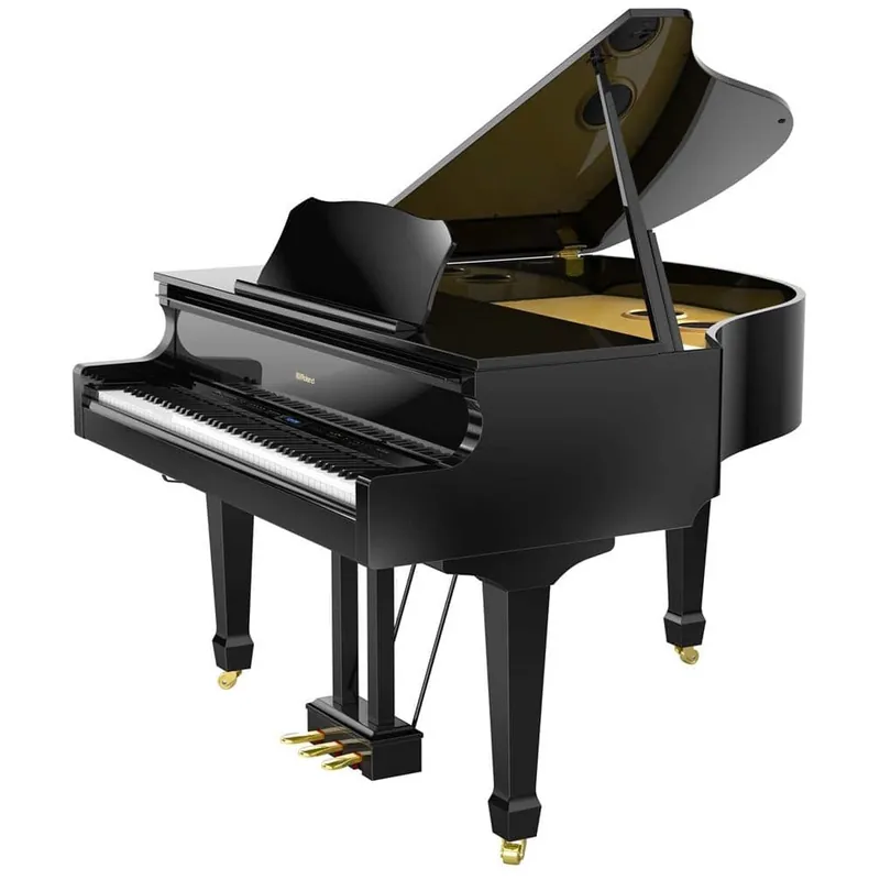 Roland GP609 PE Neue Kollektion