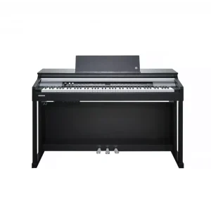 Kurzweil CUP P1-BK Jetzt Bestellen