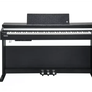 Mega-Angebot Kurzweil CUP M1-BK