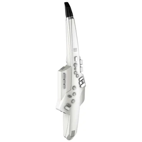 Roland AE-10 Aerophone Kostenfreie Lieferung