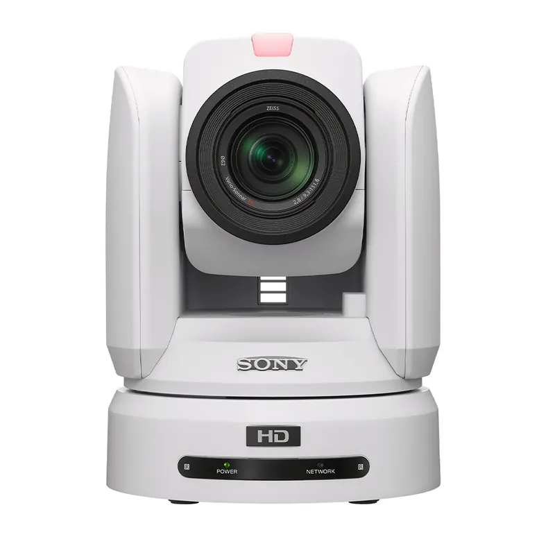 Kostenloser Versand Sony - BRC-H800