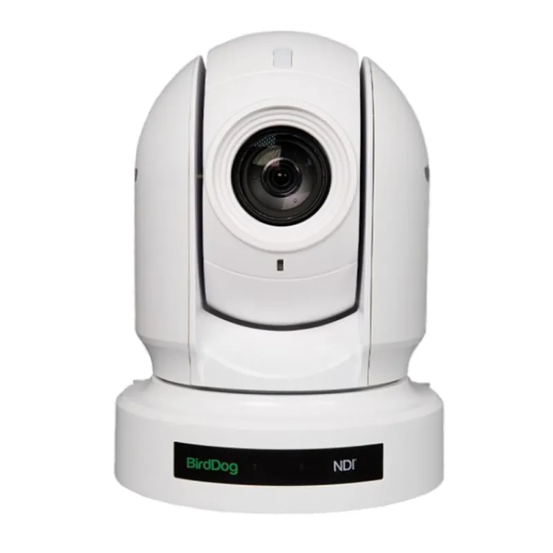 BirdDog - Eyes P200 PTZ Kamera - weiß Top-Angebot