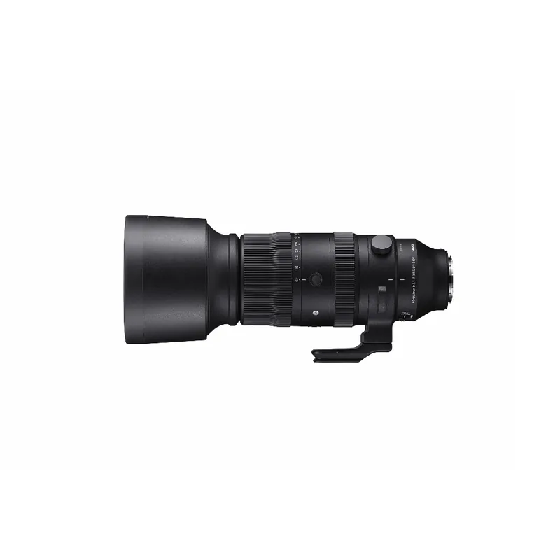 Expressversand Sigma - 60-600/F4.5-6.3 DG DN OS L-Mount