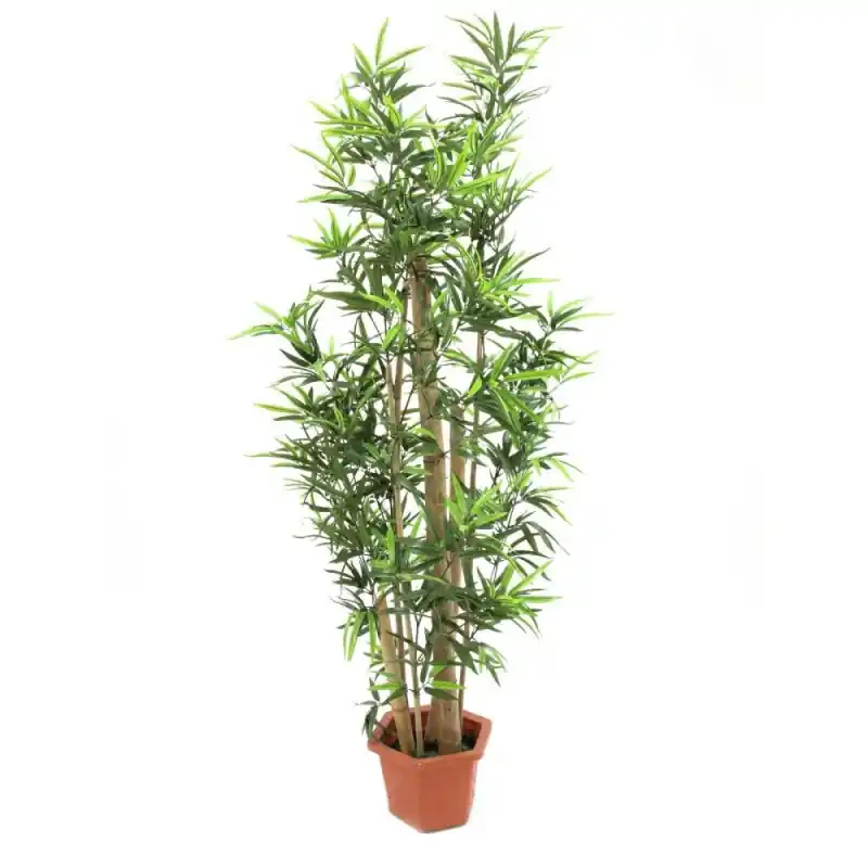 EUROPALMS Bambus mit dicken Naturstämmen, Kunstpflanze, 205cm Kostenloser Rückversand